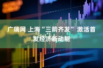 广瑞网 上海“三箭齐发” 激活首发经济新动能