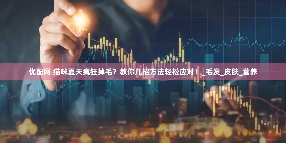 优配网 猫咪夏天疯狂掉毛？教你几招方法轻松应对！_毛发_皮肤_营养