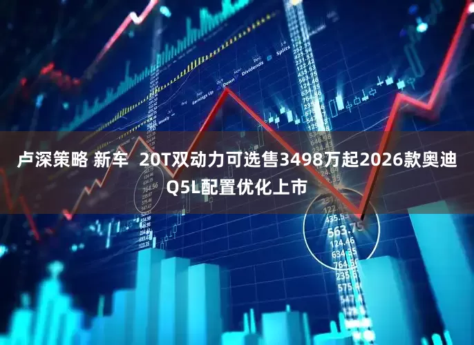 卢深策略 新车  20T双动力可选售3498万起2026款奥迪Q5L配置优化上市